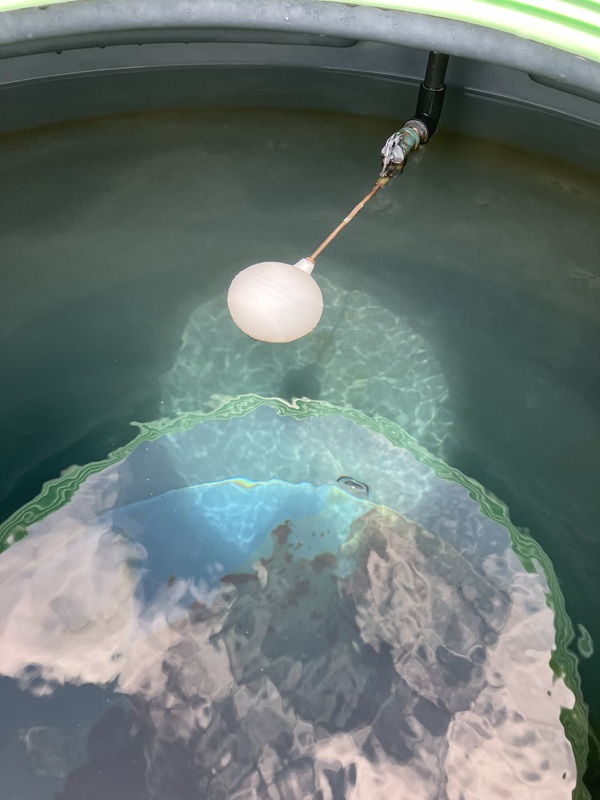 屋上貯水タンクボールタップ交換前