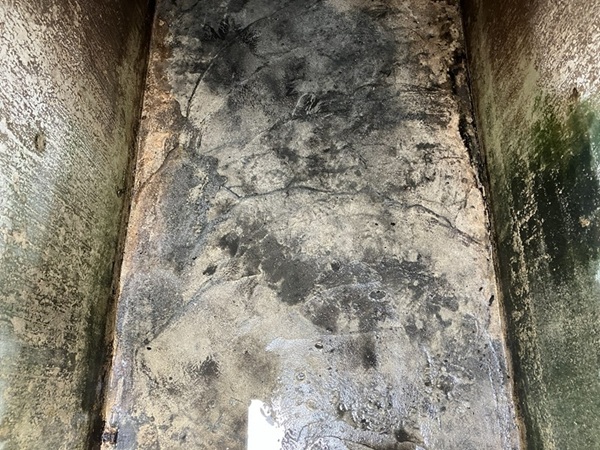 雨水タンク清掃後